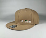 Desert Storm Veteran SnapBack